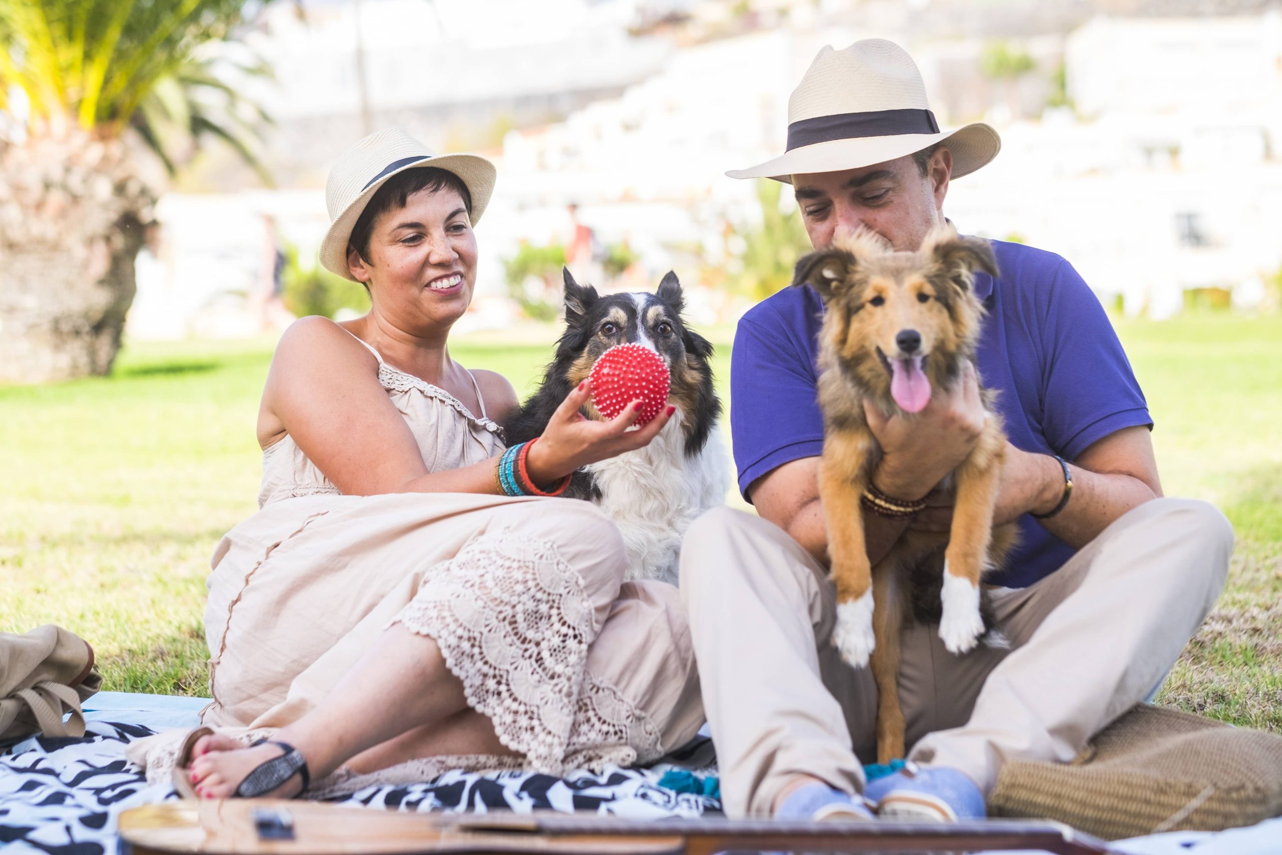 Handling Unexpected Health Issues in Adopted Pets